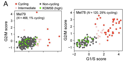 1635301730109601.png 1-1PFG13053561.png